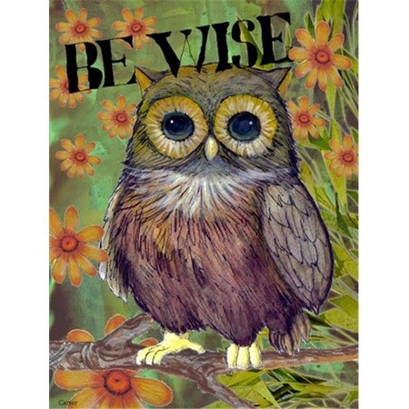 Carolines Treasures Carolines Treasures PJC1029GF Be Wise Owl Flag Garden Size PJC1029GF